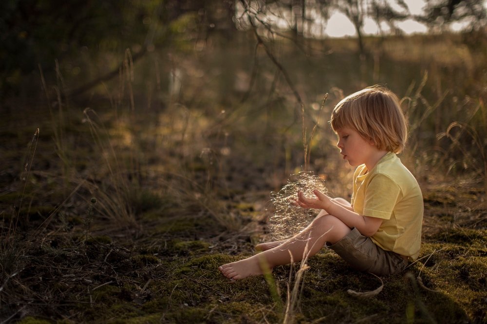 Фотография автора Анна Гетьман