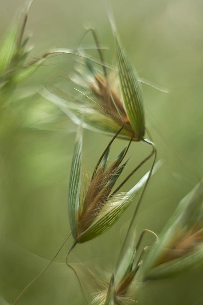 Photograph by Екатерина Бокова