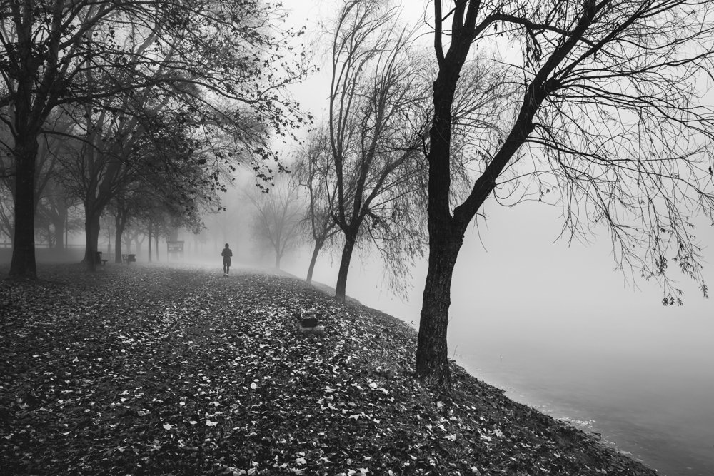 Photo #5407444