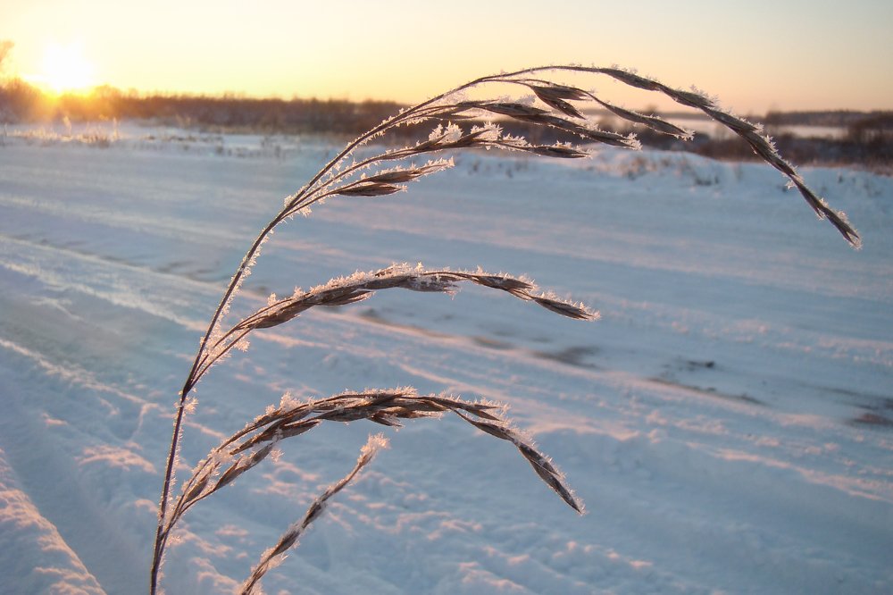 Photograph by Герман