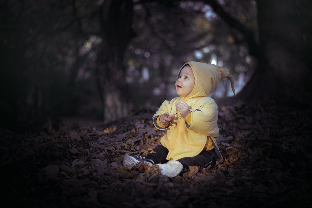 Photograph by Максим Леонтьев