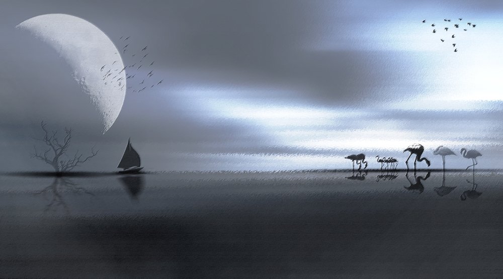 Photograph by Joyraj Samanta