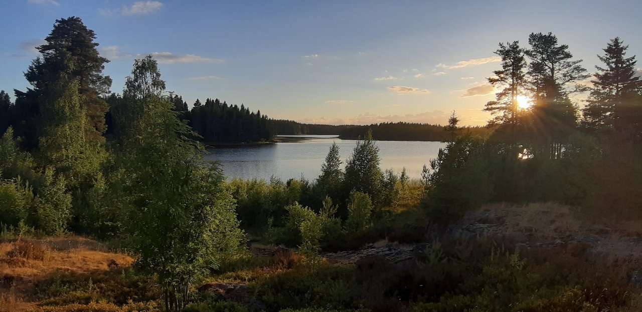 Photo #5407596