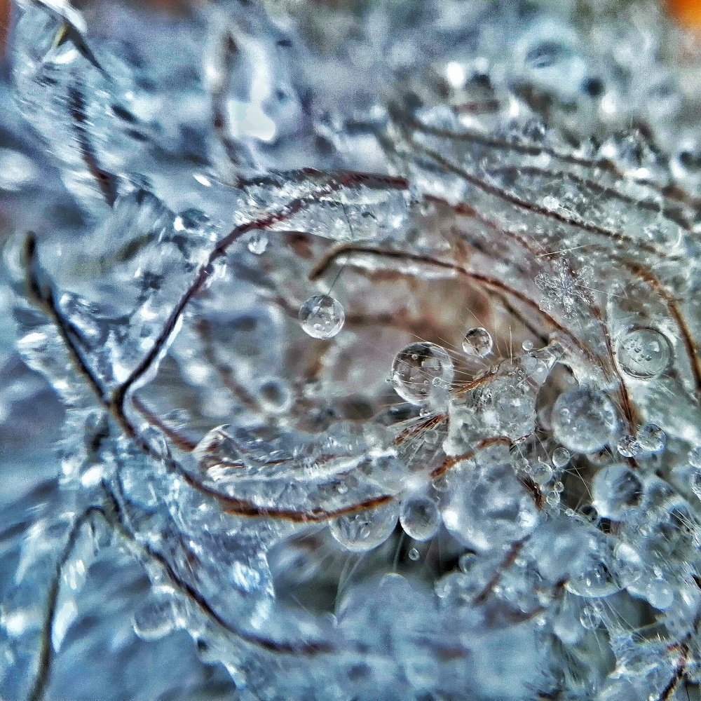 Photograph by Оксана Шевченко