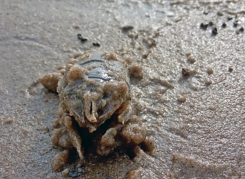 Photograph by Kapil Singh