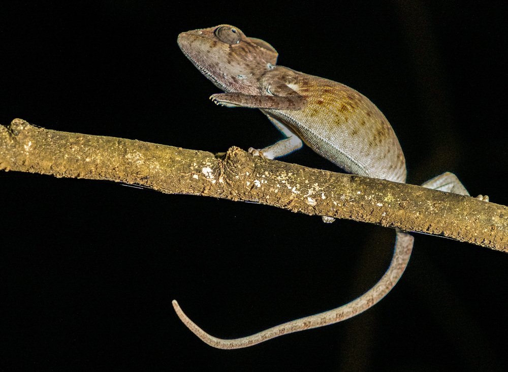 Photograph by Aleksandr Zaitsev