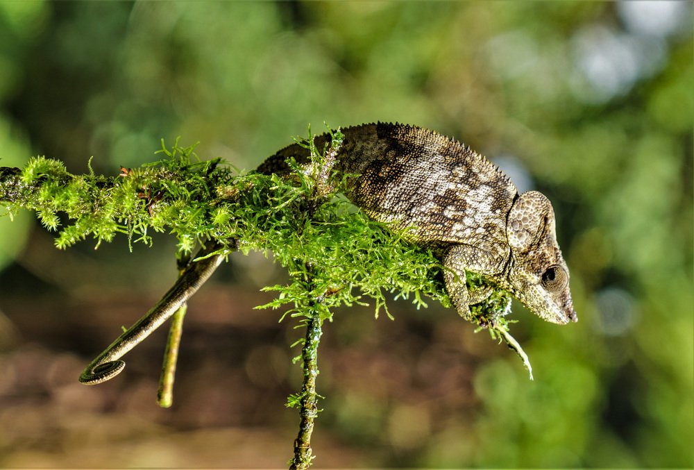 Photograph by Aleksandr Zaitsev