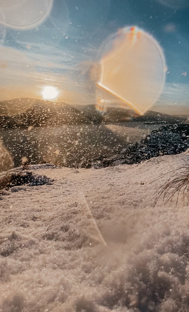 Photograph by Ася Шалагина