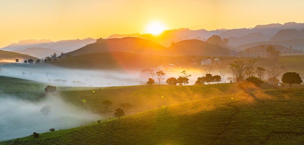 Фотография автора quach nam