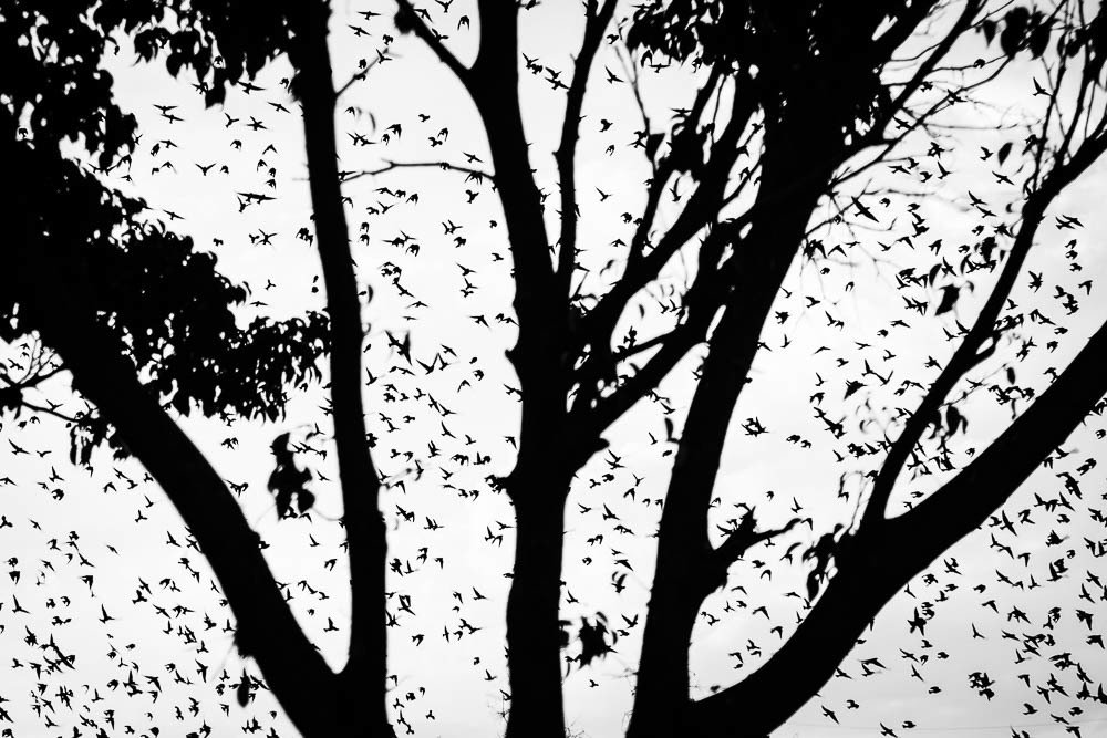 Photograph by Ingrid García