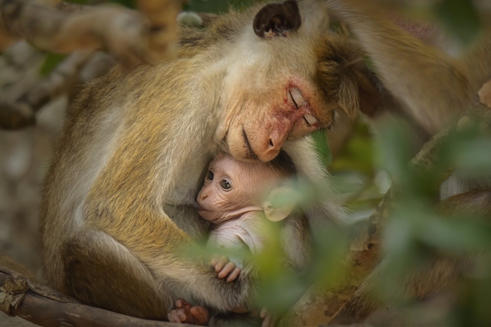 Mothers don't sleep.. they just worry with their eyes closed.