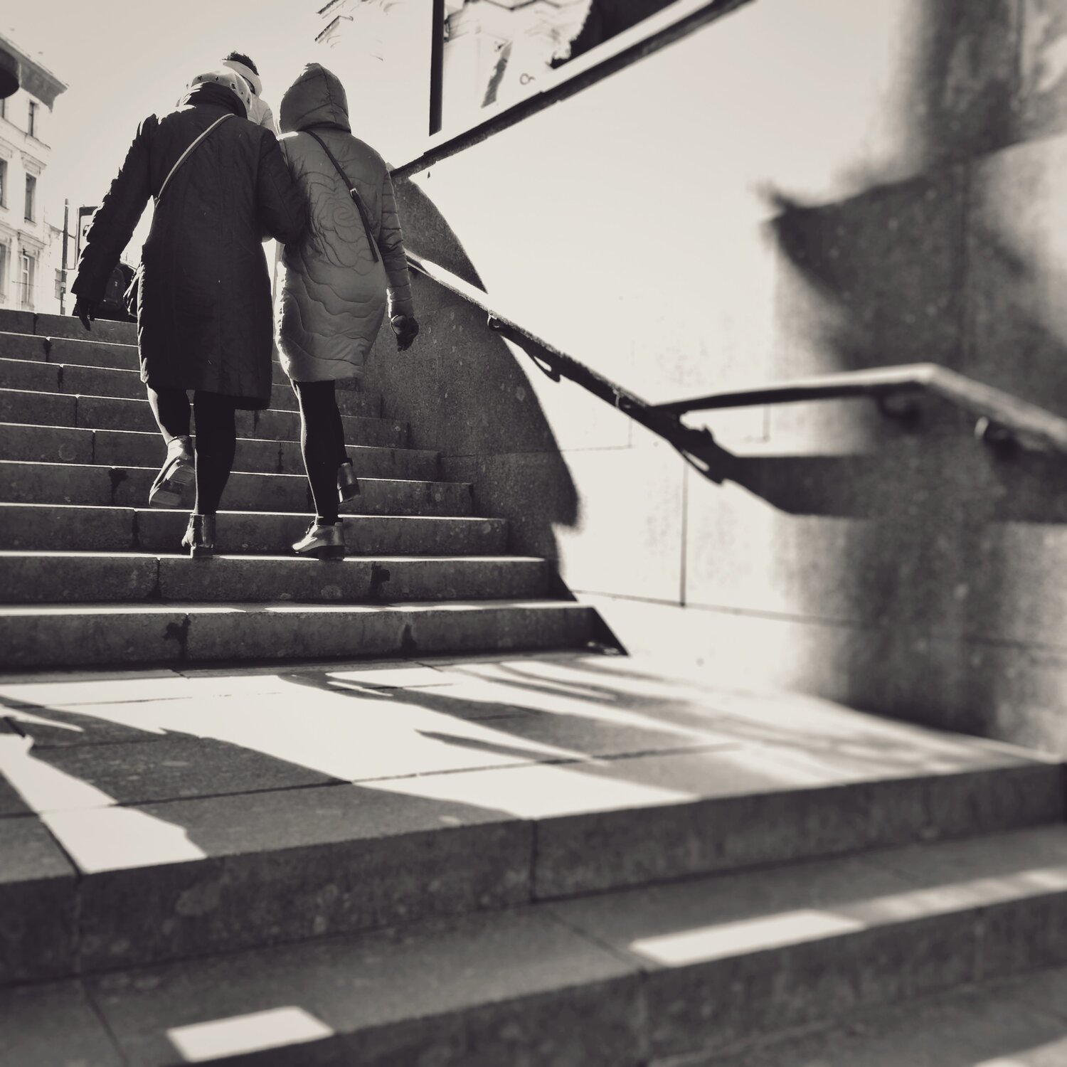 Photo #5407834