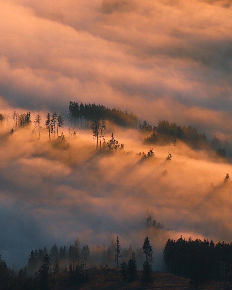 Photo #5407864