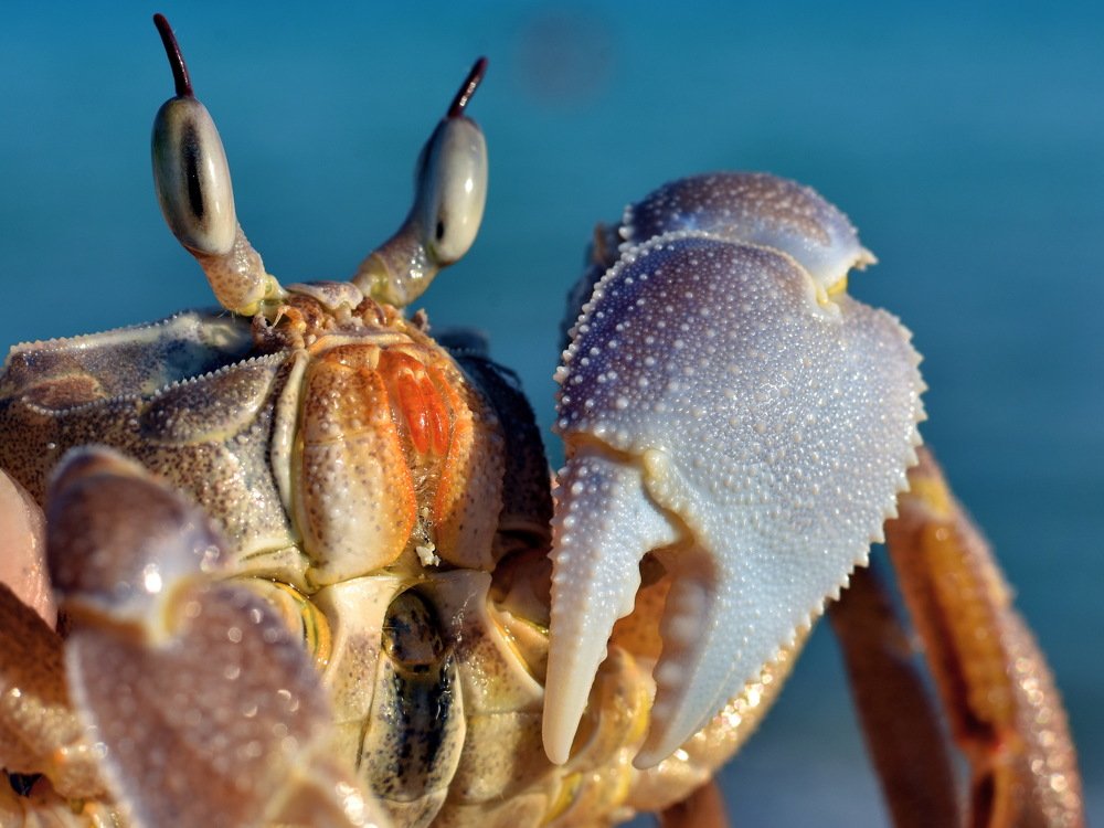 Photograph by Stanko Ratković