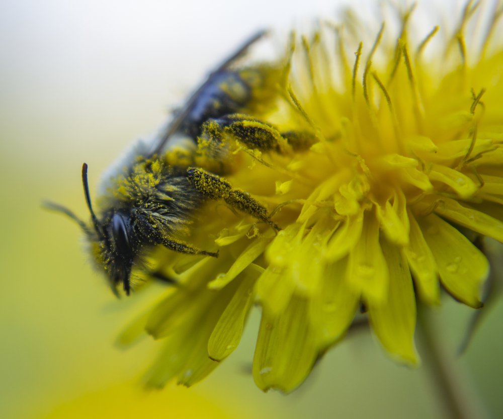 Photograph by János Rábli