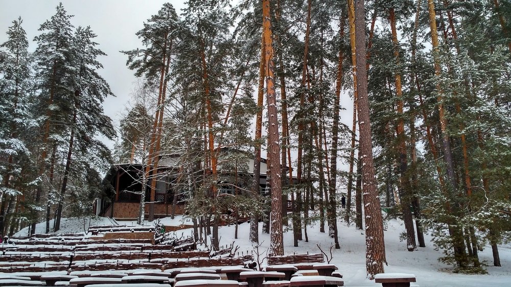 Photograph by Karine Galustova