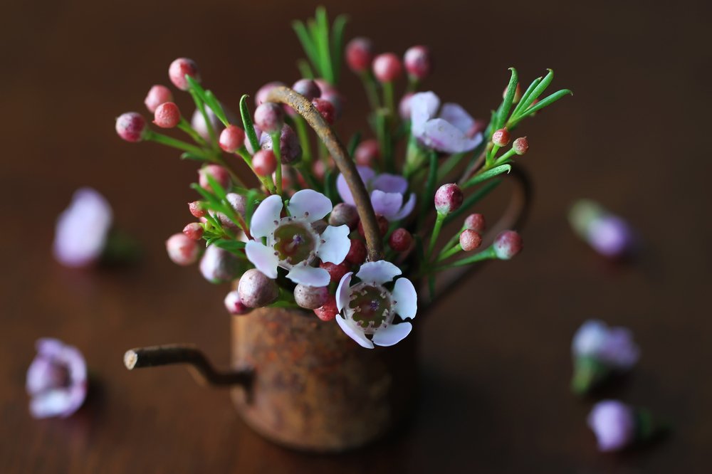 Photograph by Анна