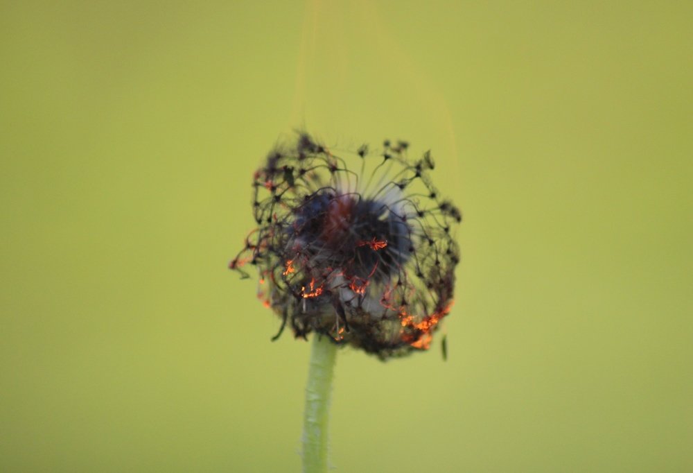 Photograph by Валентина