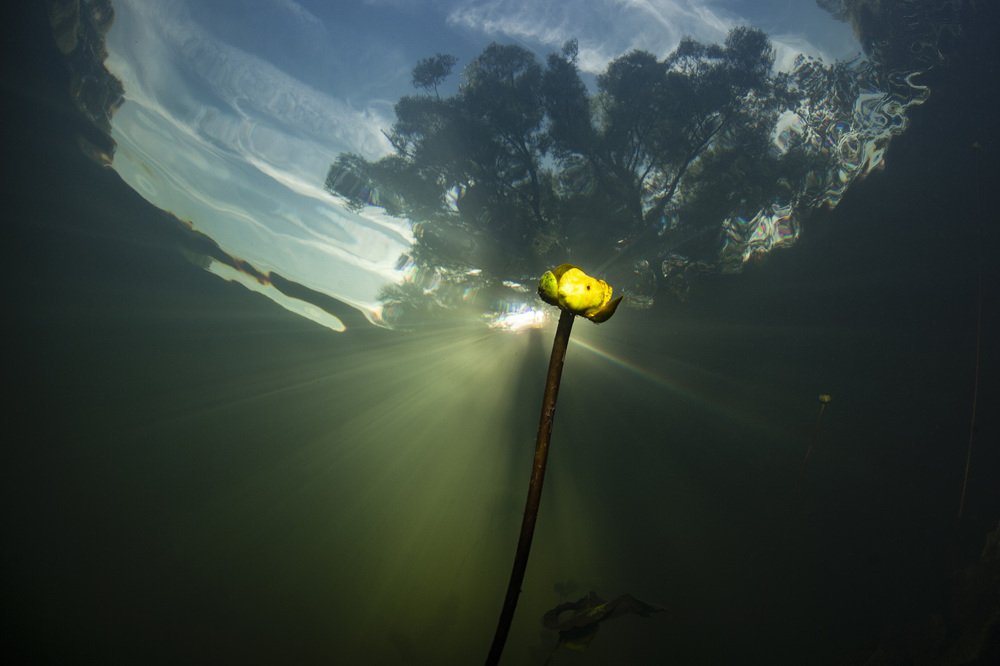 Photograph by Оксана Каменская