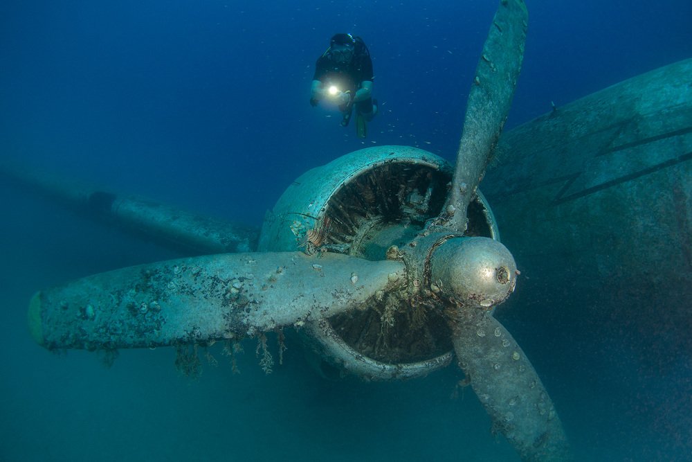 Винт самолета и крылатка