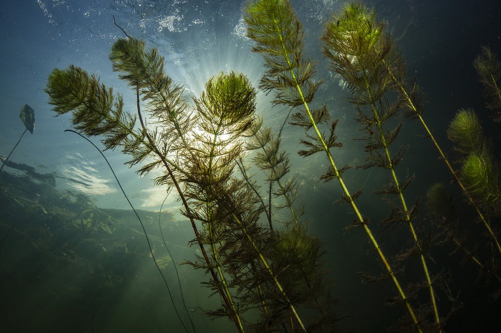 Photograph by Оксана Каменская