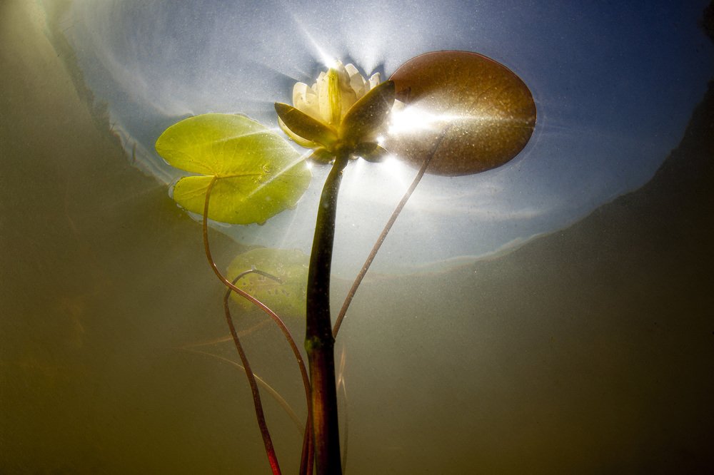 Photograph by Оксана Каменская