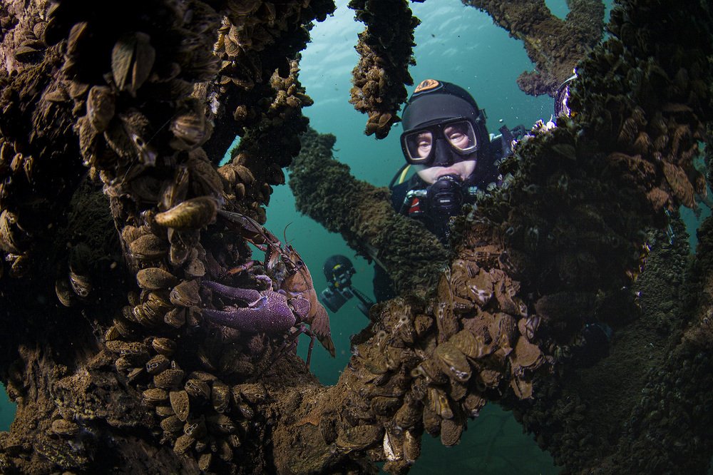 Photograph by Оксана Каменская