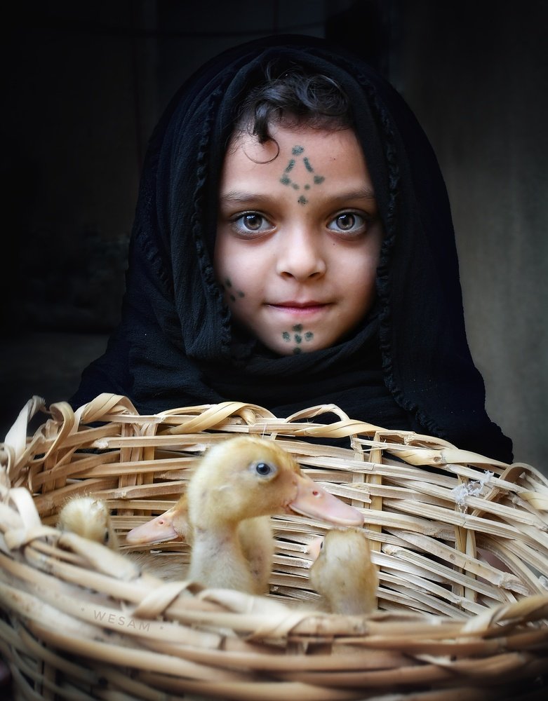 Photograph by Wesam hm