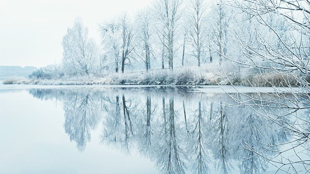 Photograph by Irina Alexeeva