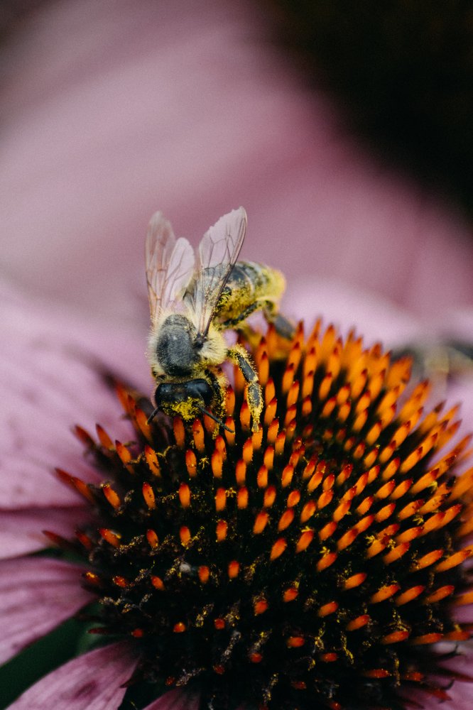 Photograph by Алексей Павленко