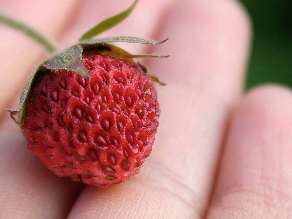 Photograph by Гульжан Шарипова