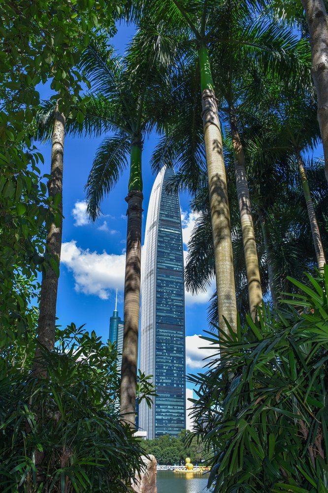 Photograph by Md Ahidul Hasan