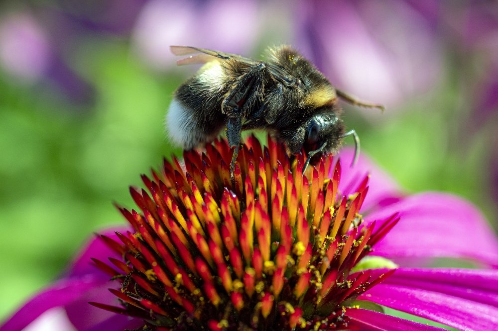 Photograph by Андрей Ныриков