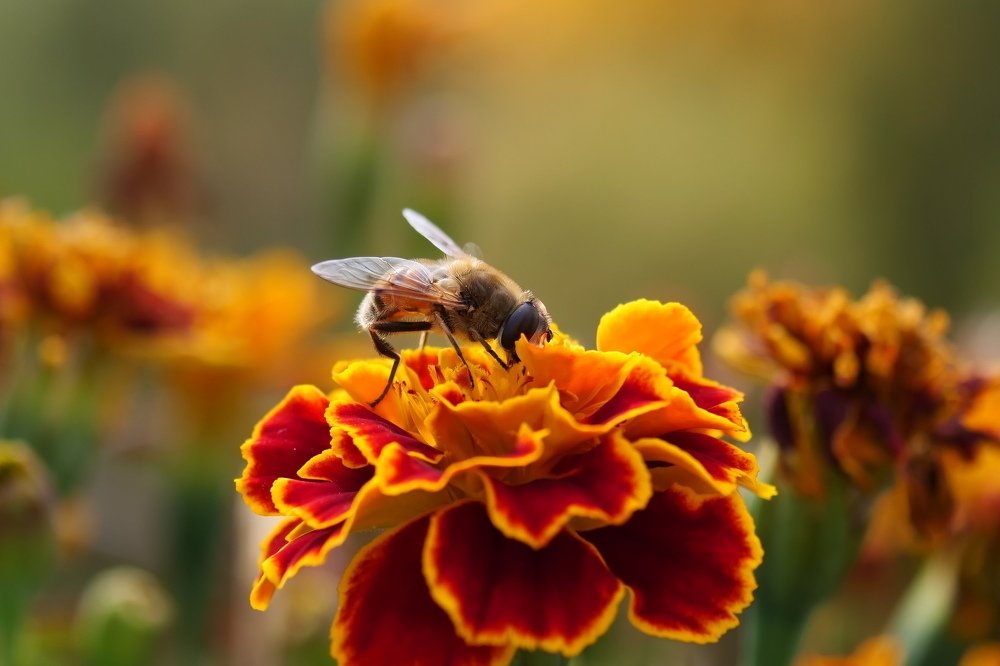 Photograph by Андрей Ныриков