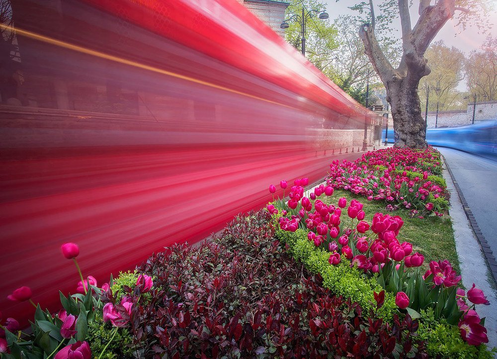 Photograph by Екатерина Ионенко