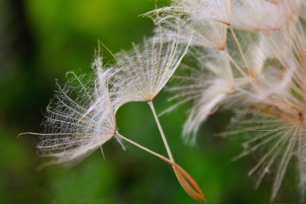 Photograph by Гульжан Шарипова