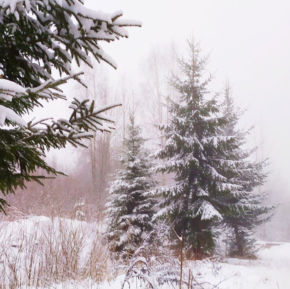 Photograph by Елена Павлова