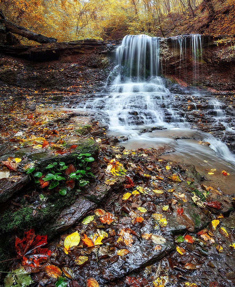 Photograph by Екатерина Ионенко