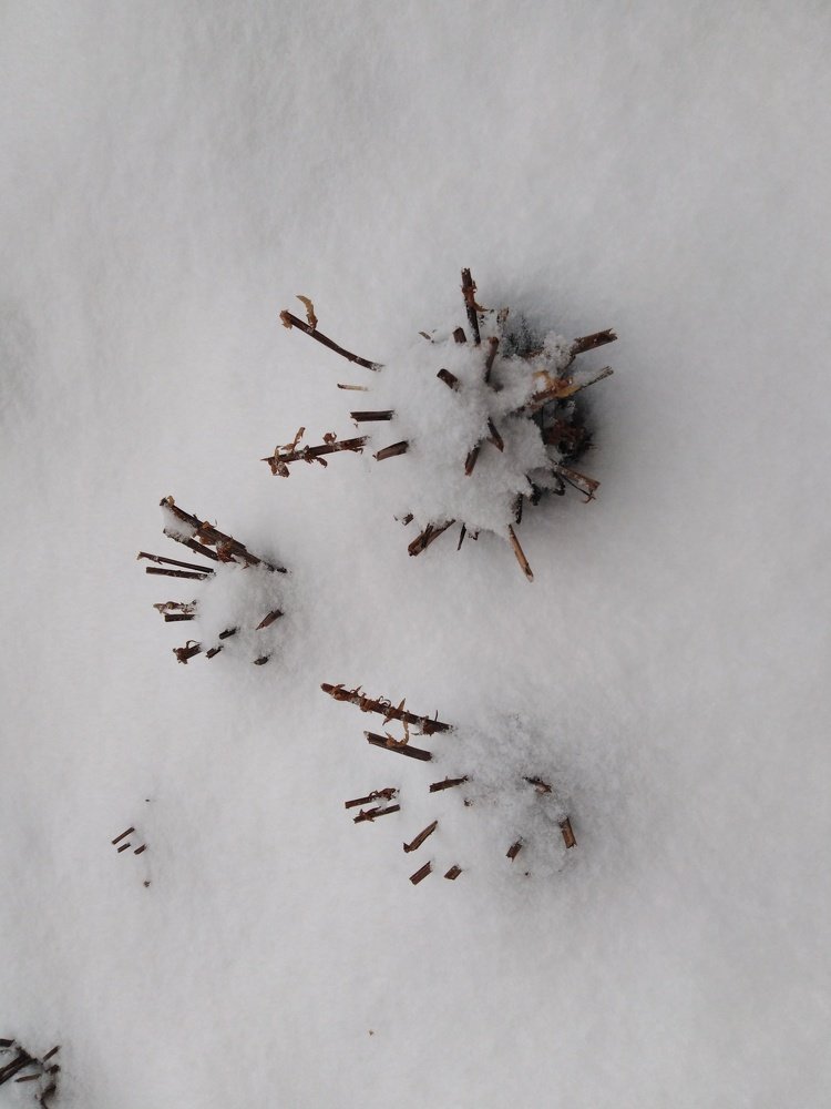 Photograph by Татьяна Ситникова