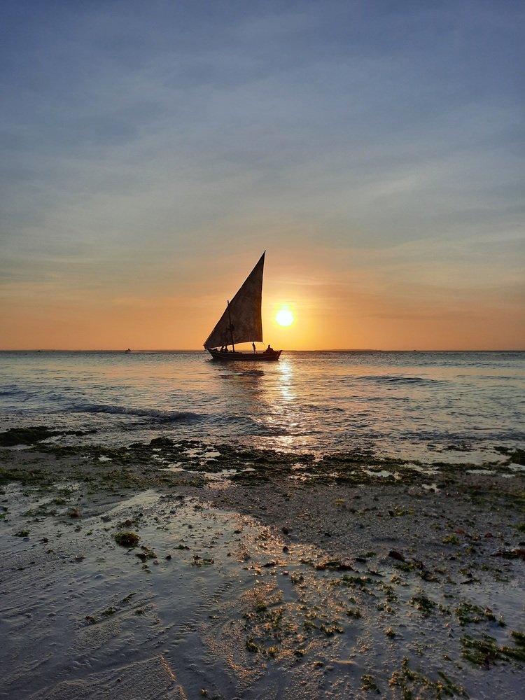 sail at sunset