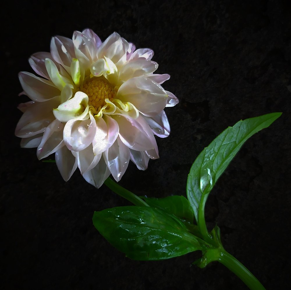 Photograph by Елена Павлова