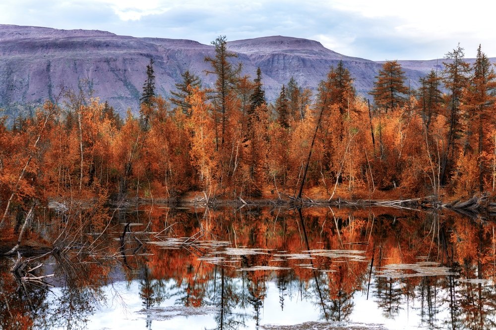 Осень на Таймыре