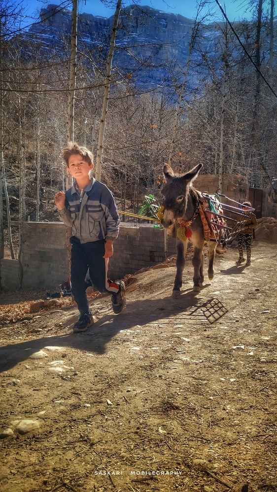 Photograph by Saeed Askari