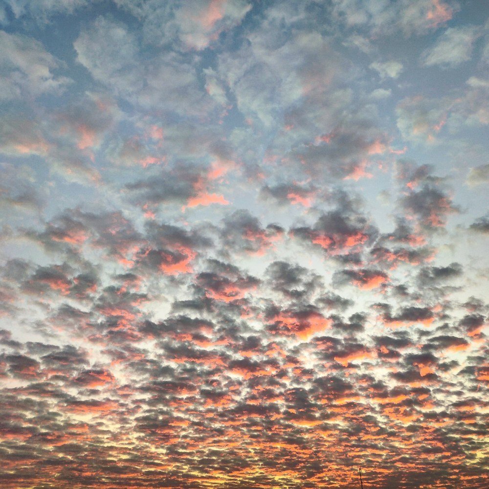 Photograph by Оксана Боднарчук