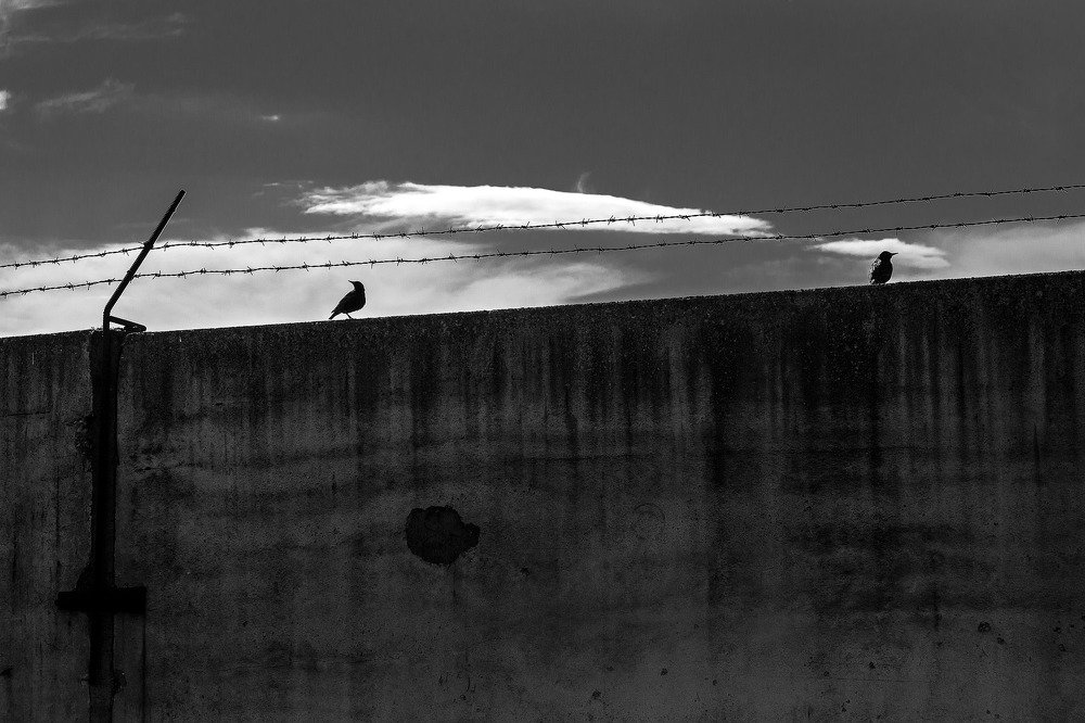 На тему сегодняшнего дня