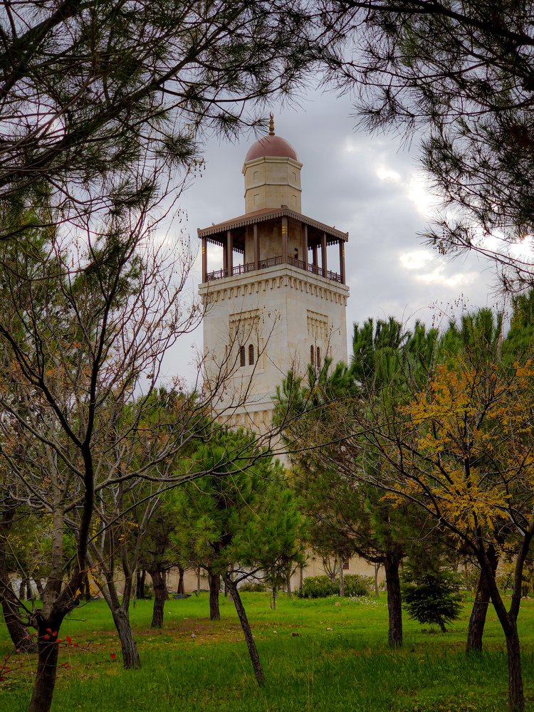 Photograph by Ali Abu Ras