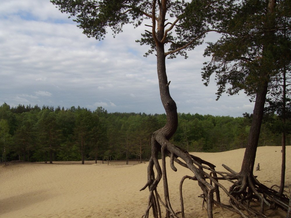 Photograph by Наталия