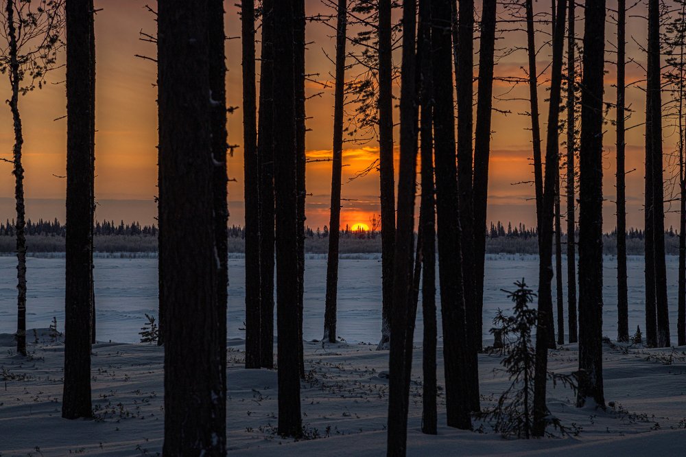 Photograph by Александр Бакин