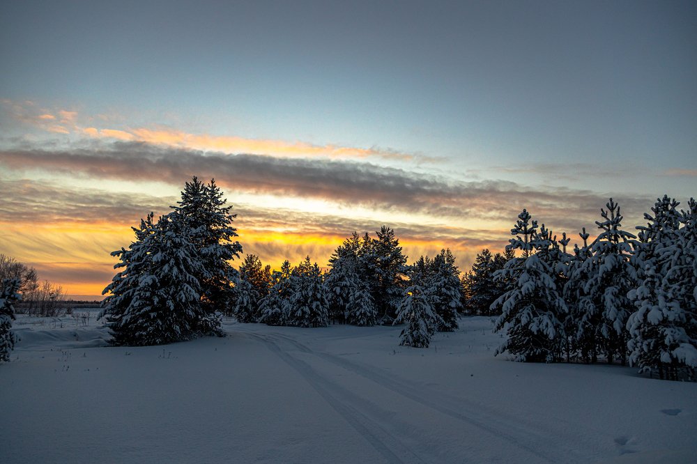 Photograph by Александр Бакин