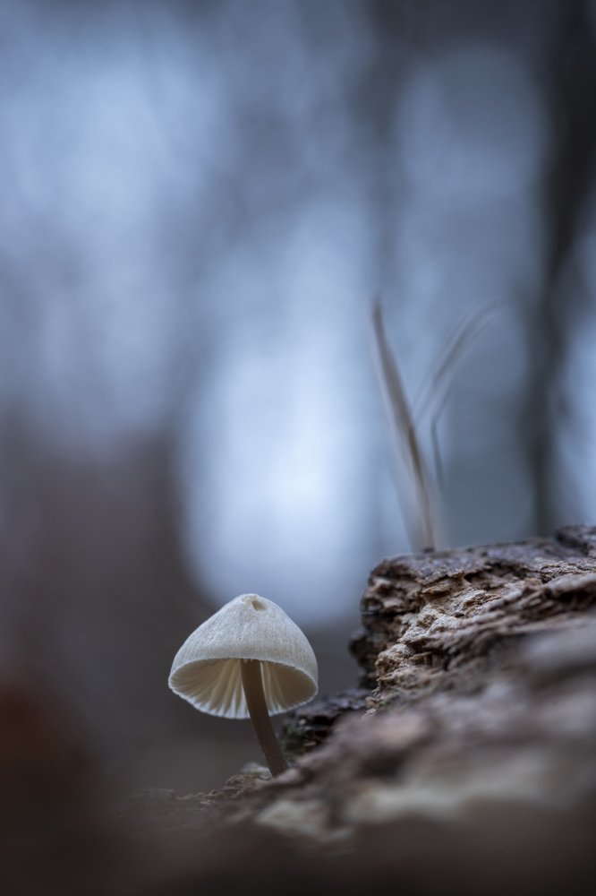 Photograph by Stelios Ntemogiannis